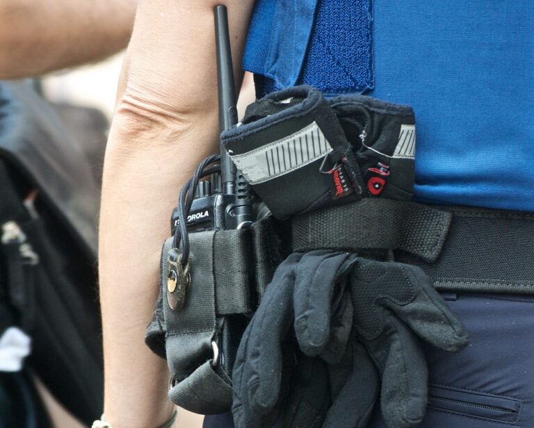 Maria Cristina Urbano: Subito un confronto tra il comparto di vigilanza privata e il nuovo esecutivo