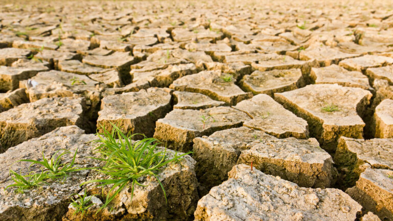 Consiglio dei Ministri: approvato decreto sulla tutela dei lavoratori nelle emergenze climatiche