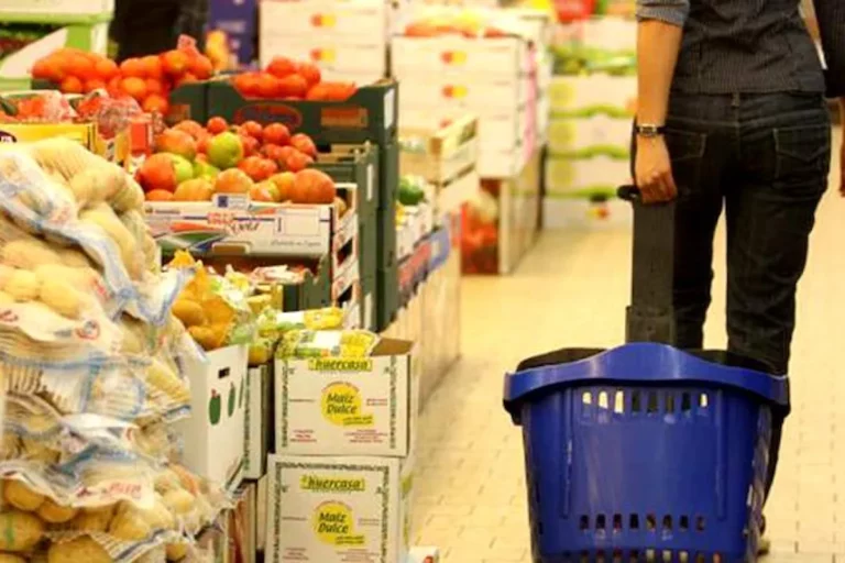 Istat, il fatturato dei servizi del 2023