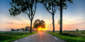 ICMQ: Corso Sistemi di gestione della sicurezza del traffico stradale – Requisiti e guida all’utilizzo- corso base – 8 e il 9 aprile 2026, dalle ore 14.00 alle ore 18.00